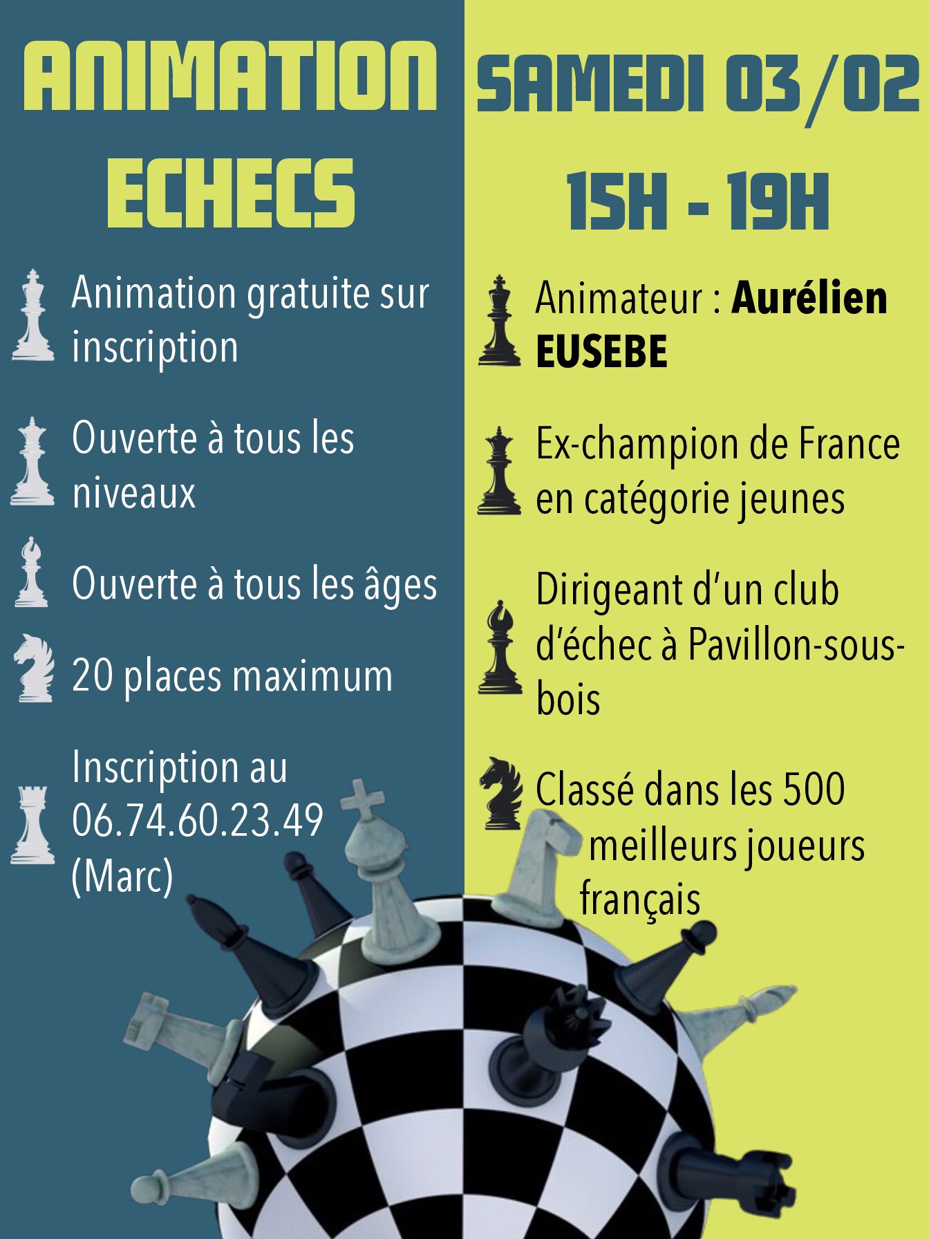 Affiche A3 Animation échecs 2024